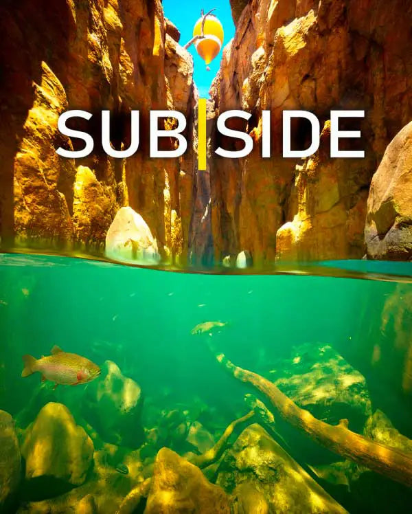 Portada o Cover de Subside Vr2 Ps5 Juego Digital